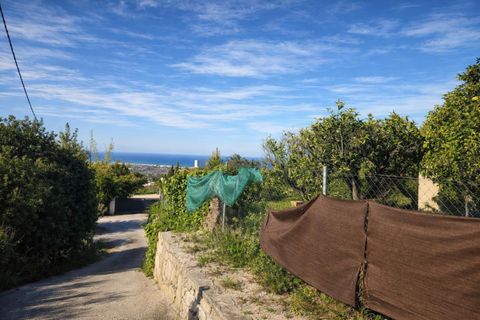 Tomt i Benimeli, Alicante, Benimeli - € 83 000 | Ref: PNPT297 - foto 35